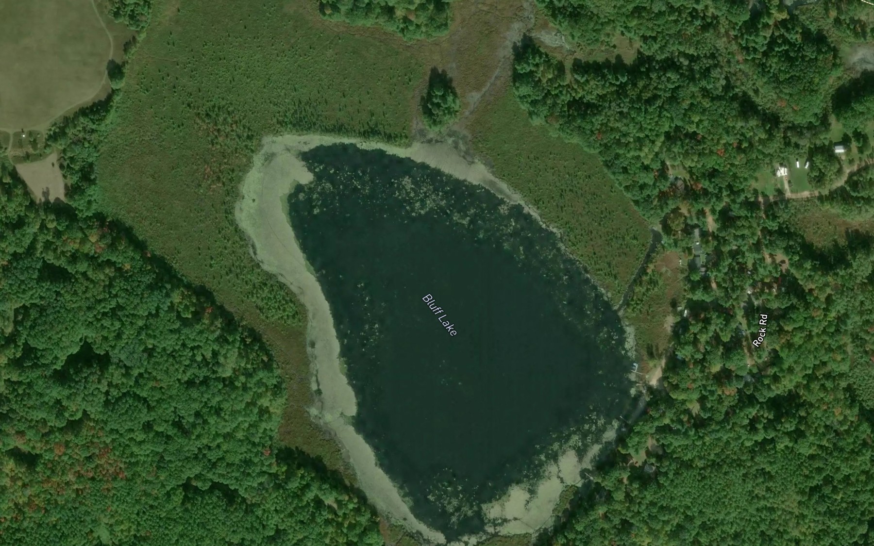 Satellite map of the Bluff Lake