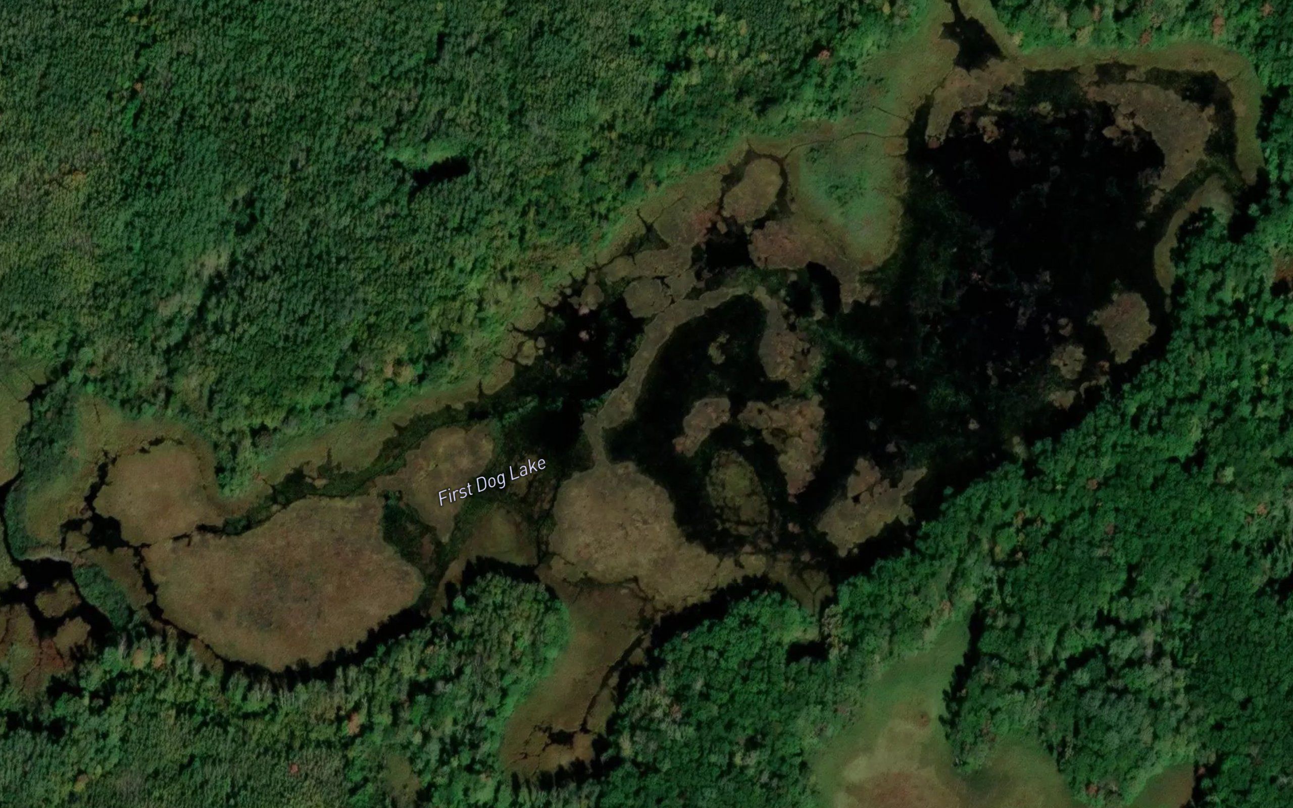 First Dog Lake
