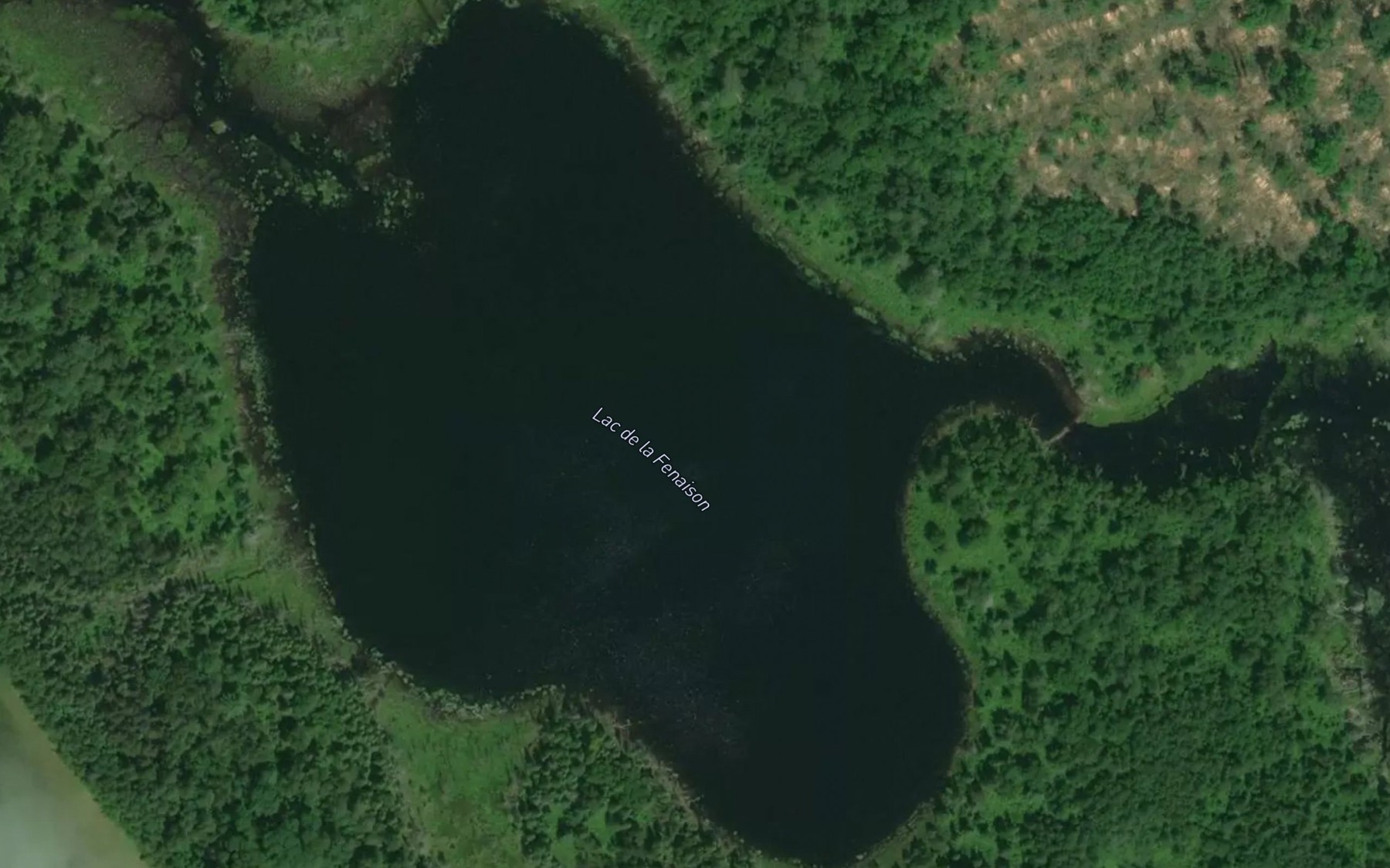 Satellite map of the Lac de la Fenaison