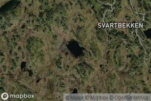 Fremmer Bjugntjonna