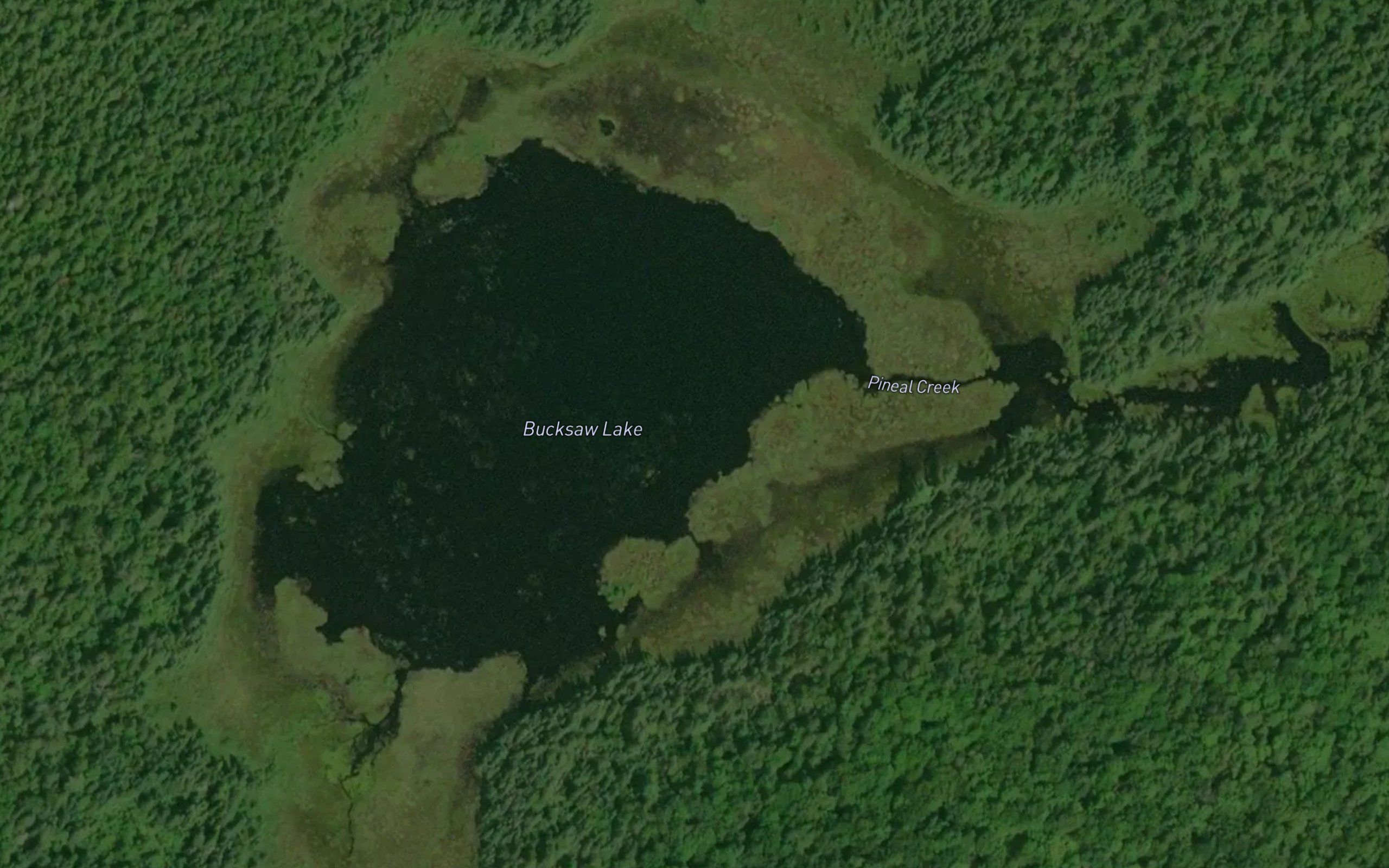 Bucksaw Lake