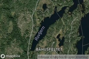 Rovtjern