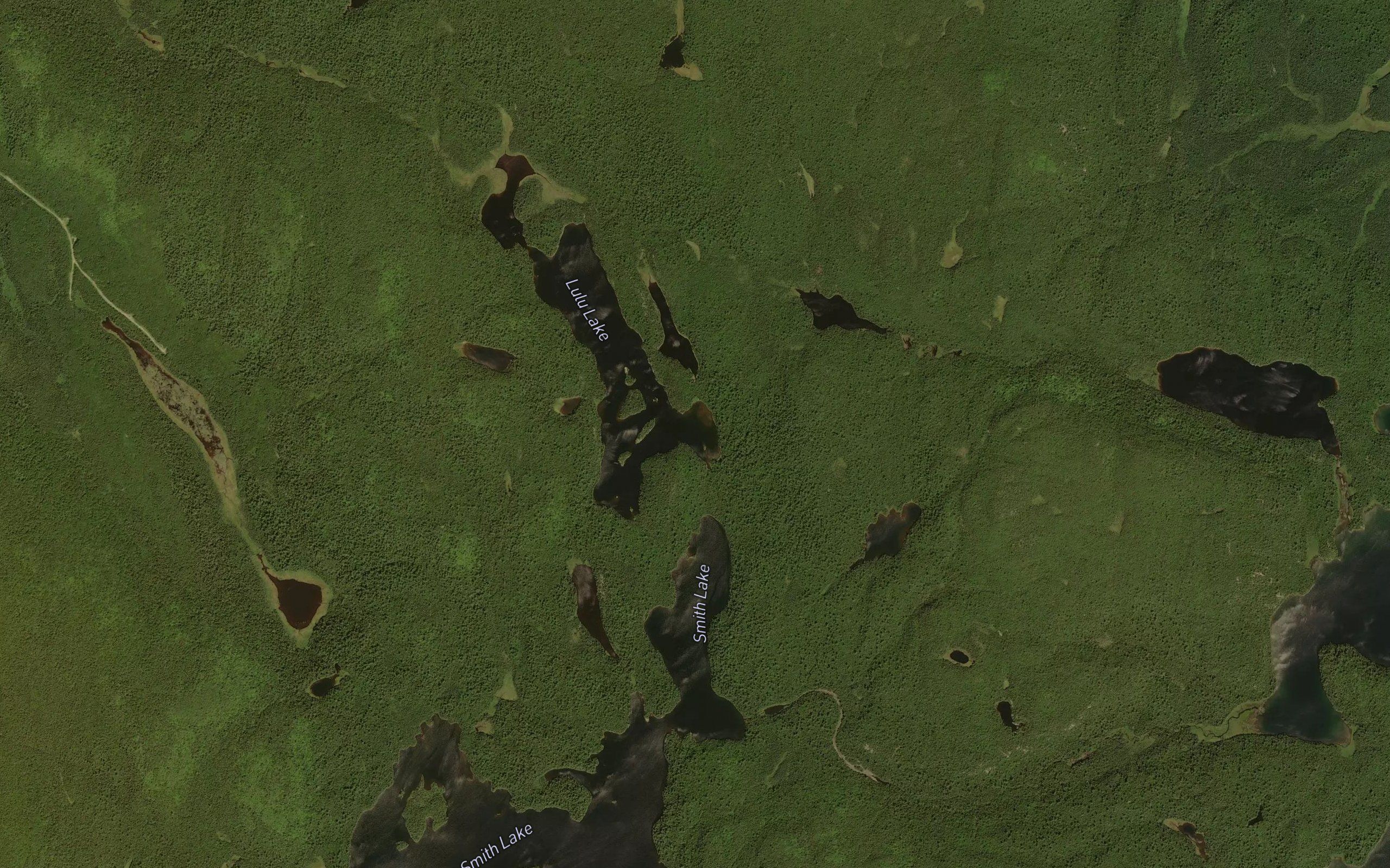 Lulu Creek