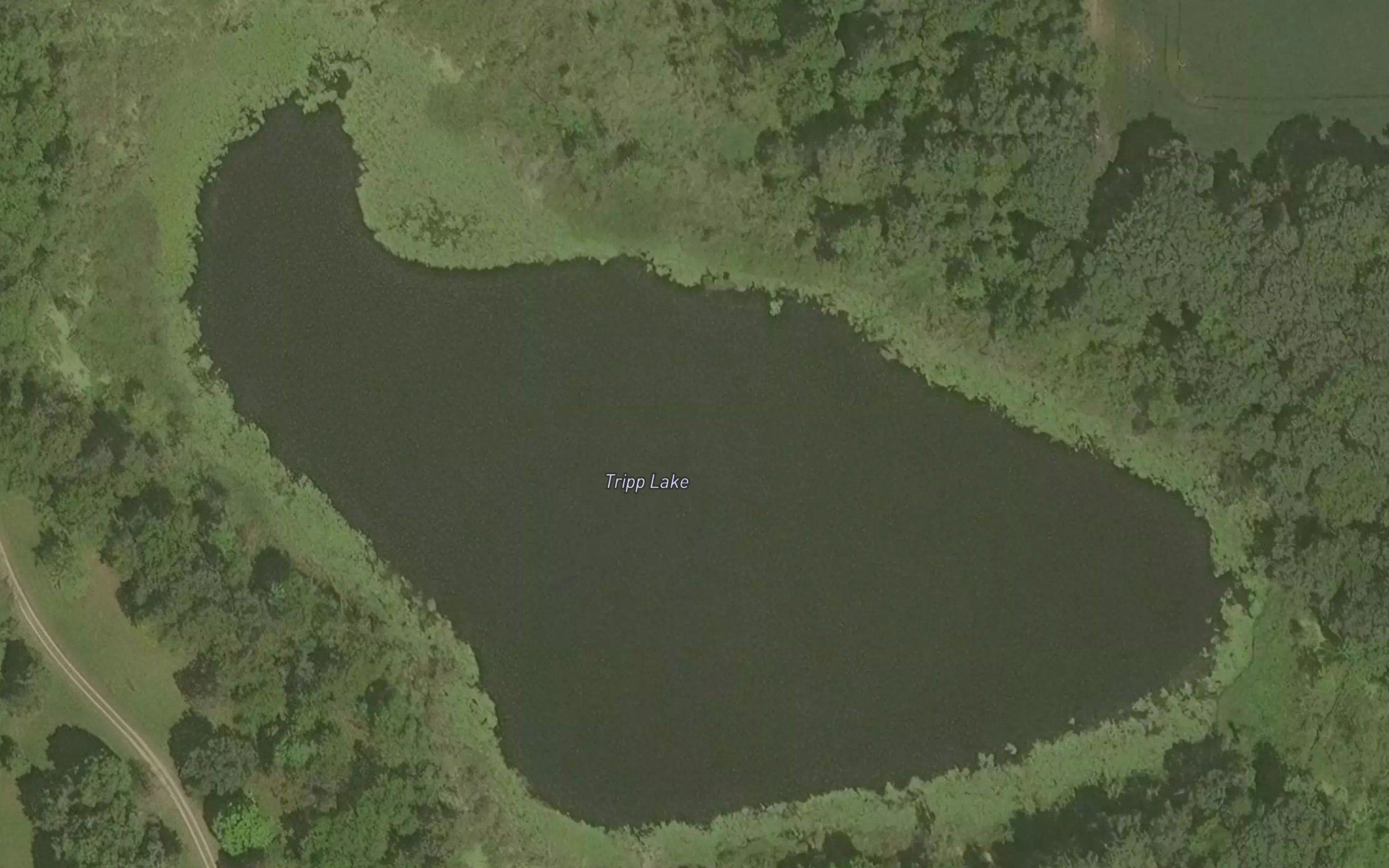 Tripp Lake