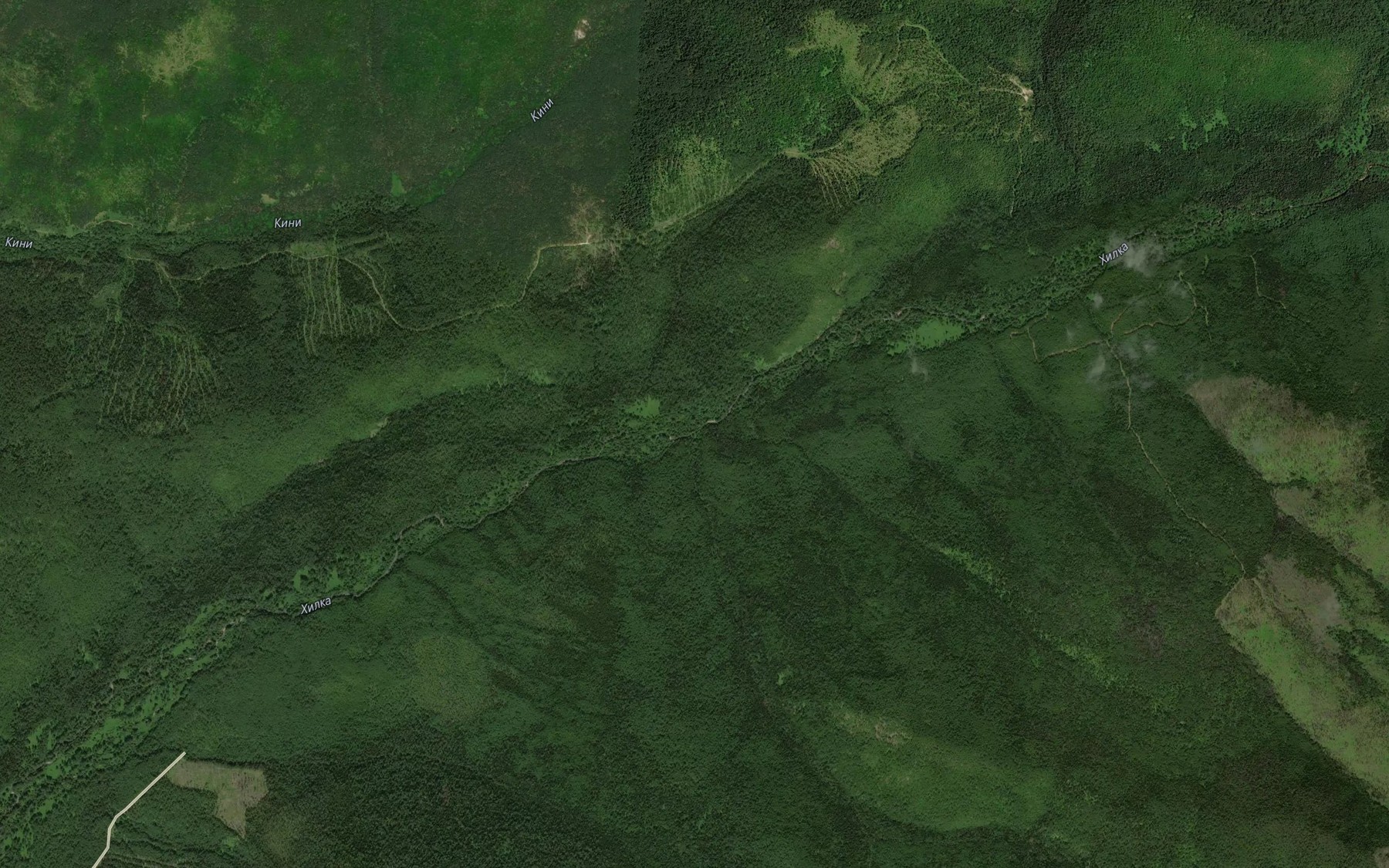 Satellite map of the Vetvistyy