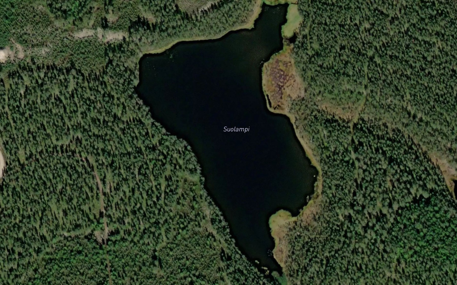 Satellite map of the Suolampi