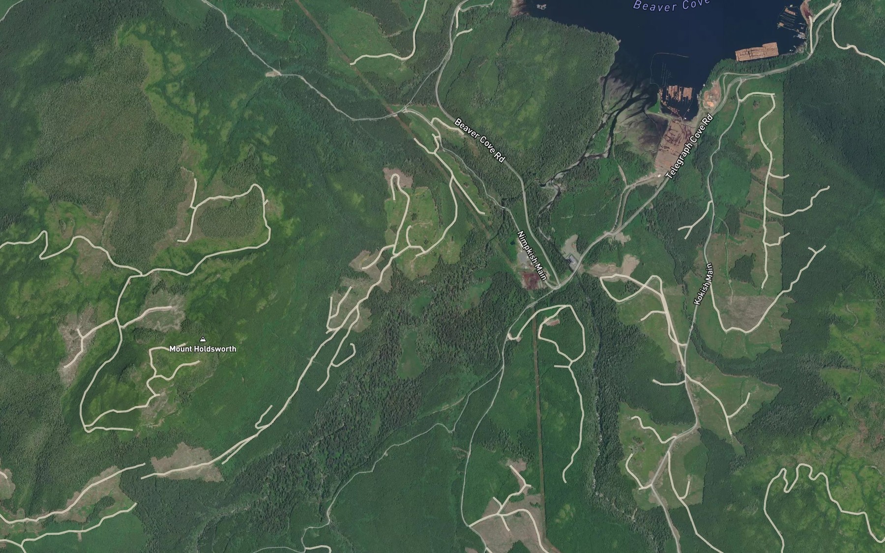 Satellite map of the Tsulton River