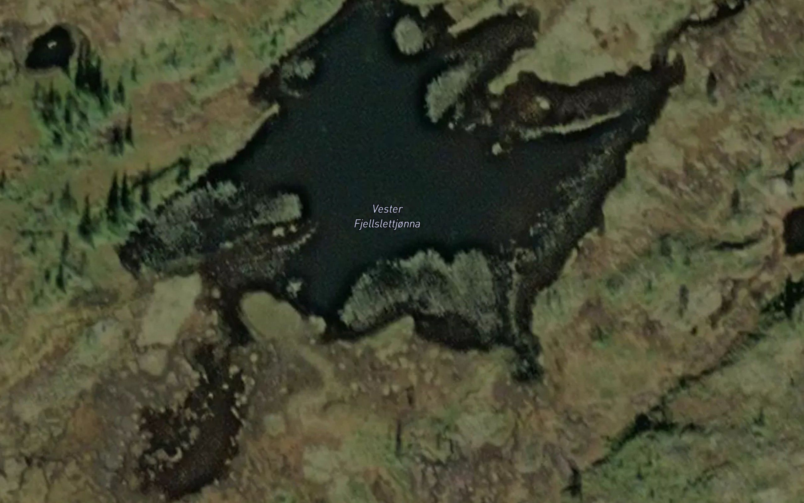 Vester Fjellslettjonna