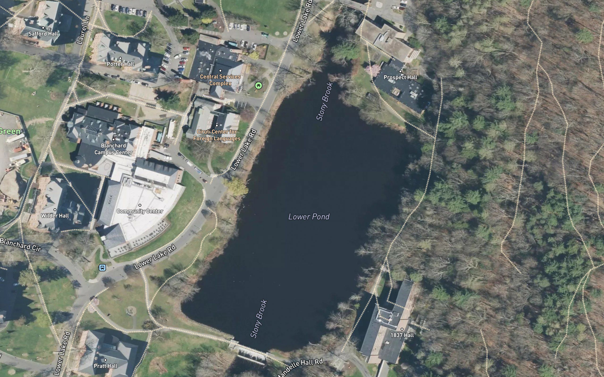 Lower Pond