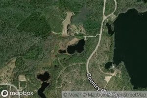 Lighter Log Pond
