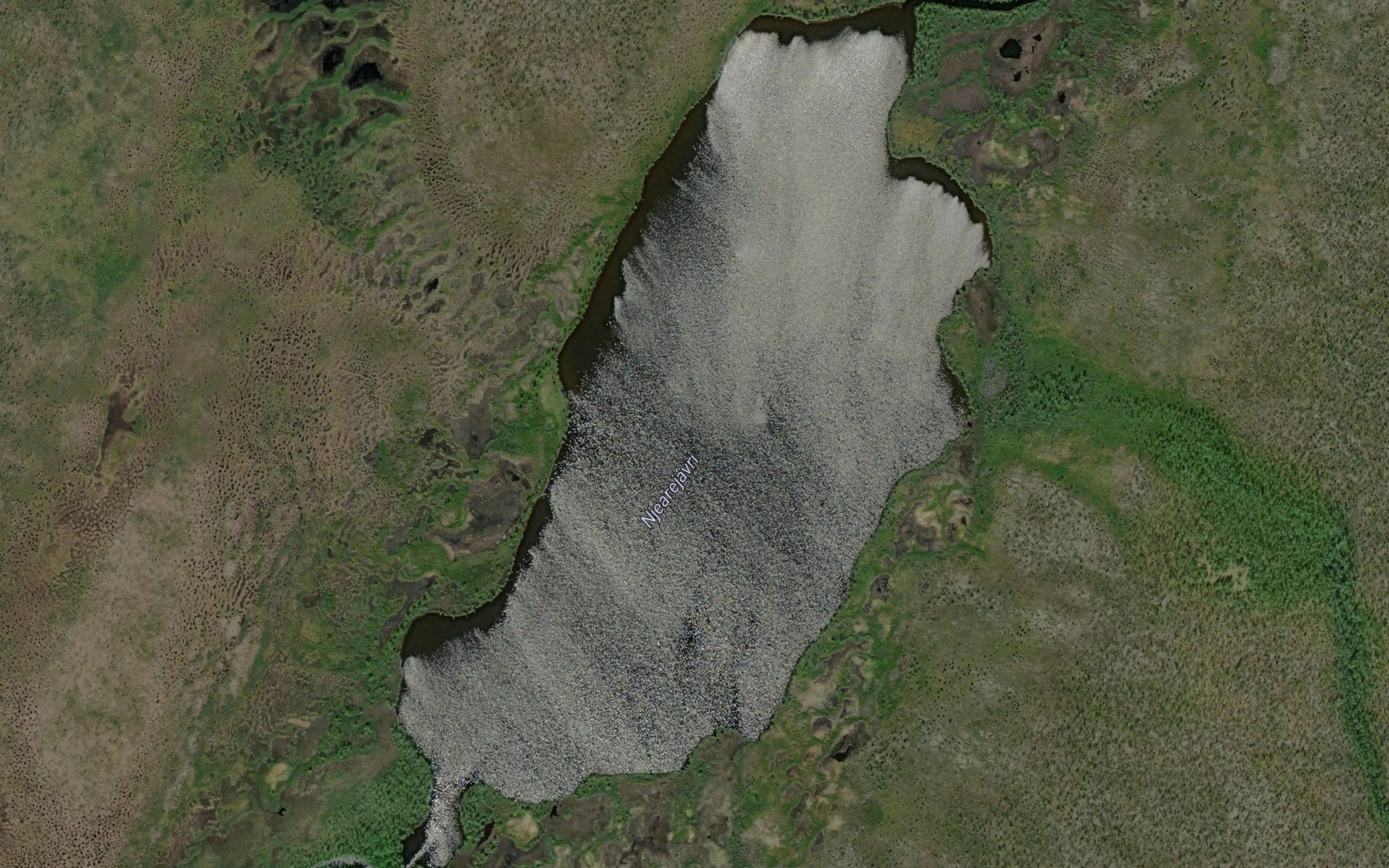 Njaerejavri