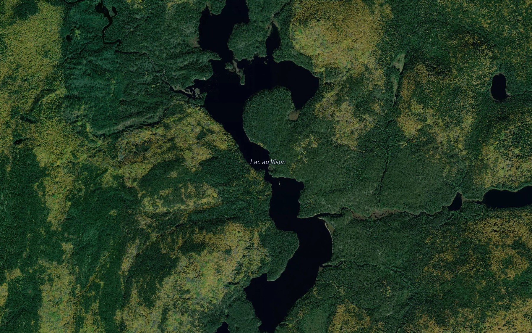 Satellite map of the Lac au Vison