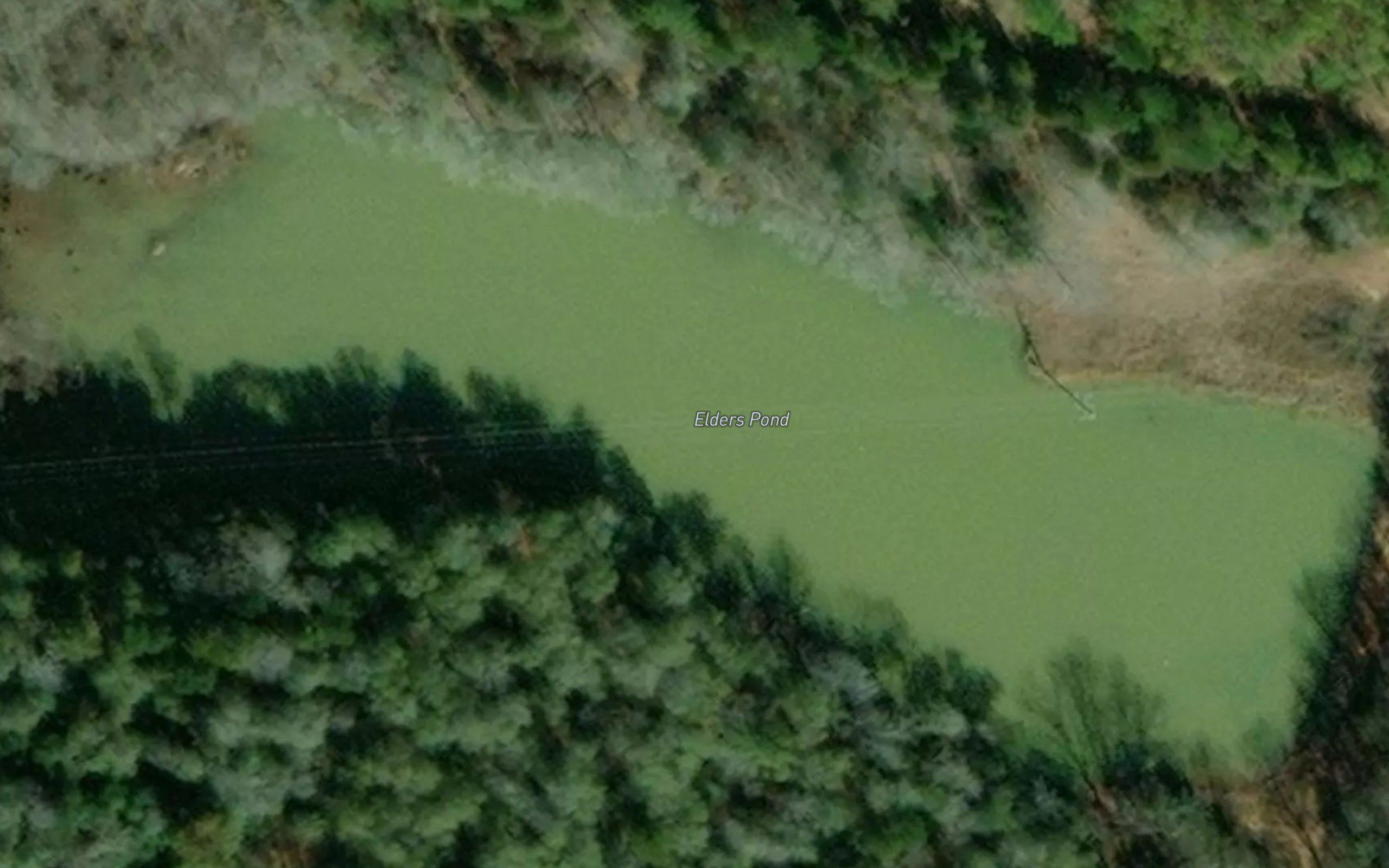 Elders Pond