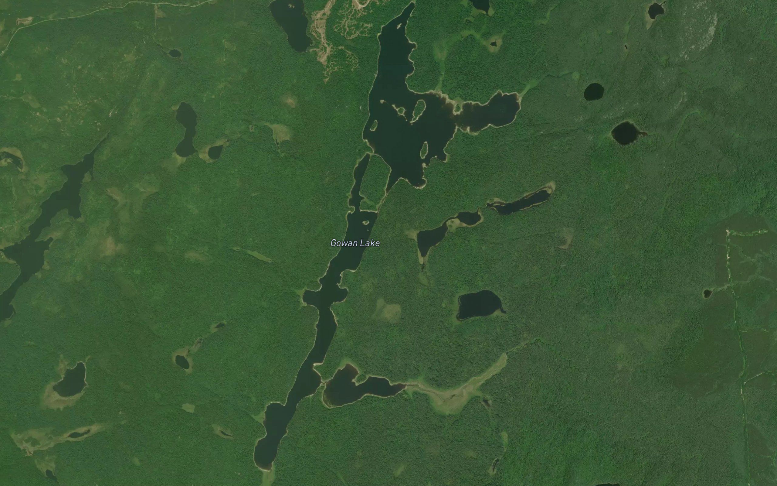 Gowan Lake