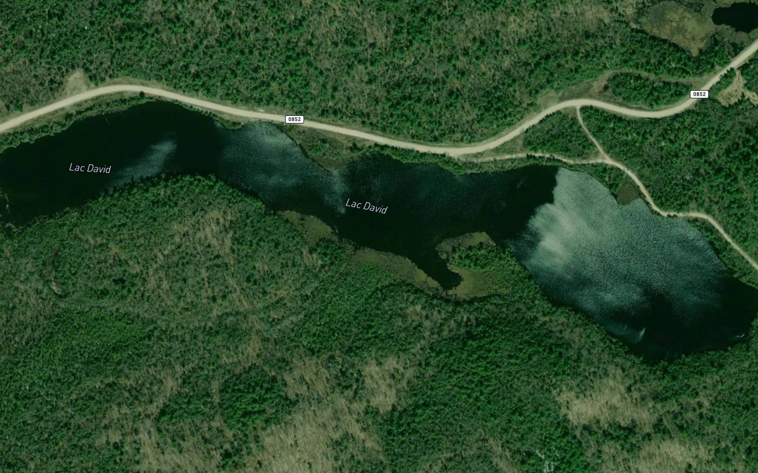 Lac David