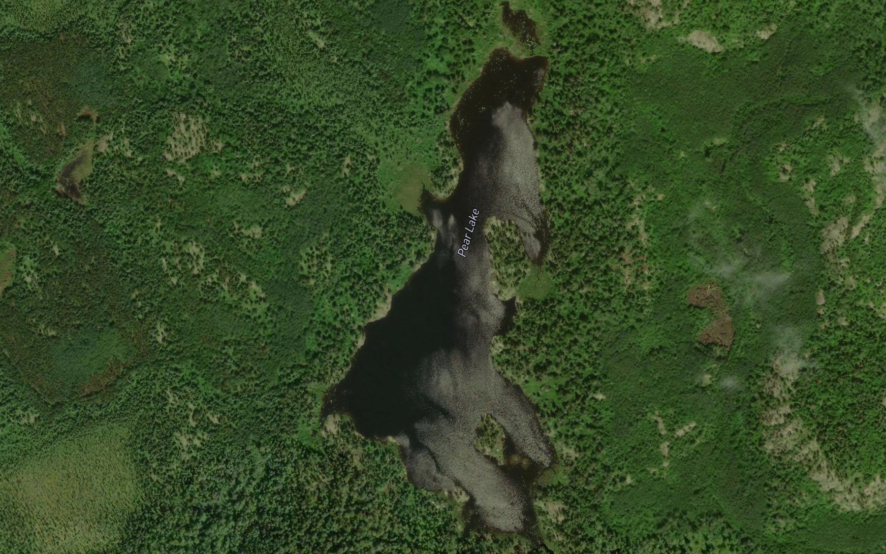 Satellite map of the Pear Lake