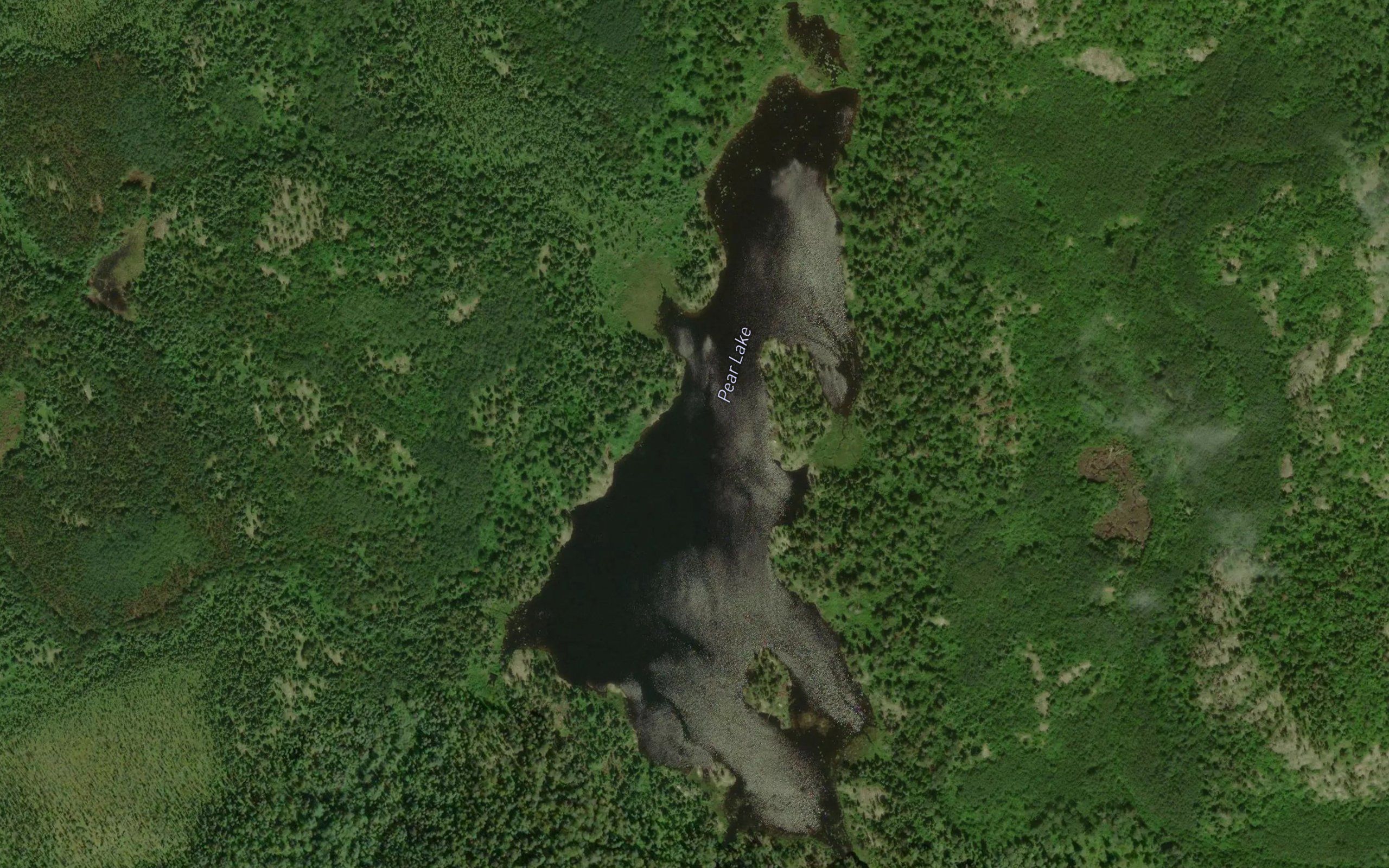 Pear Lake