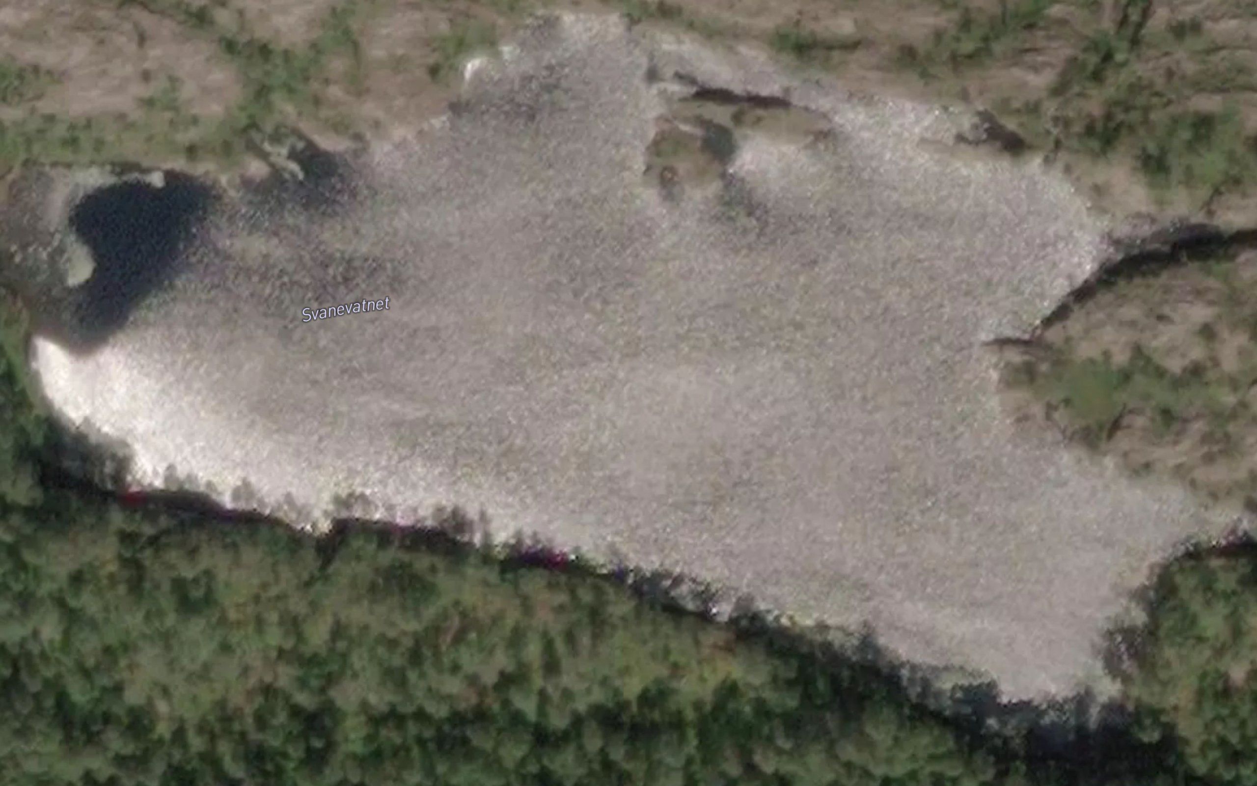 Svanevatnet