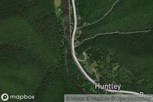 Tanglefoot Run