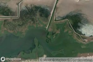 Colector Principal Numero Cuatro