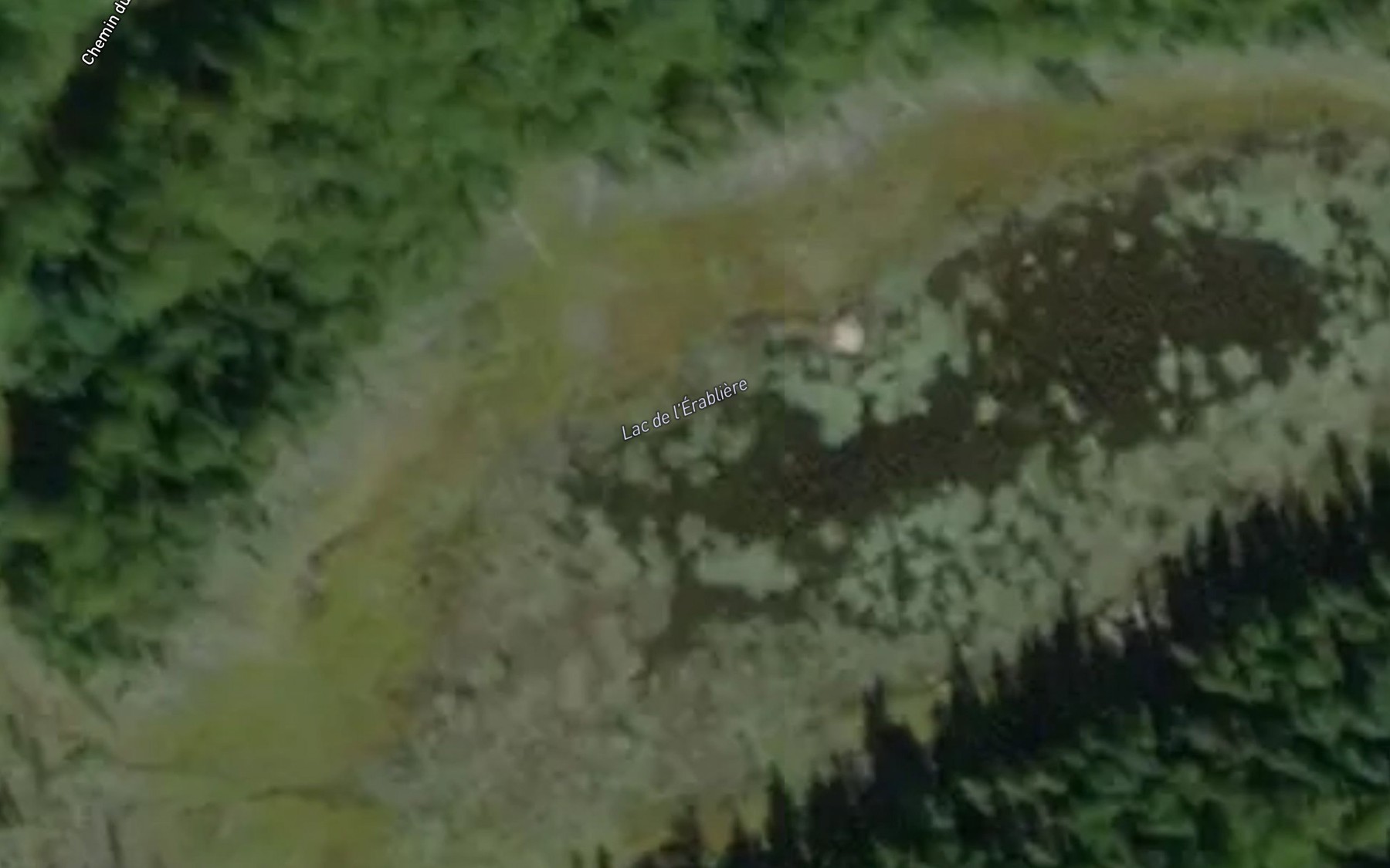 Satellite map of the Lac de l'Erabliere