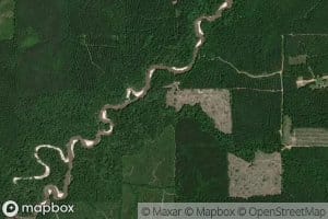 Chinquapin Creek