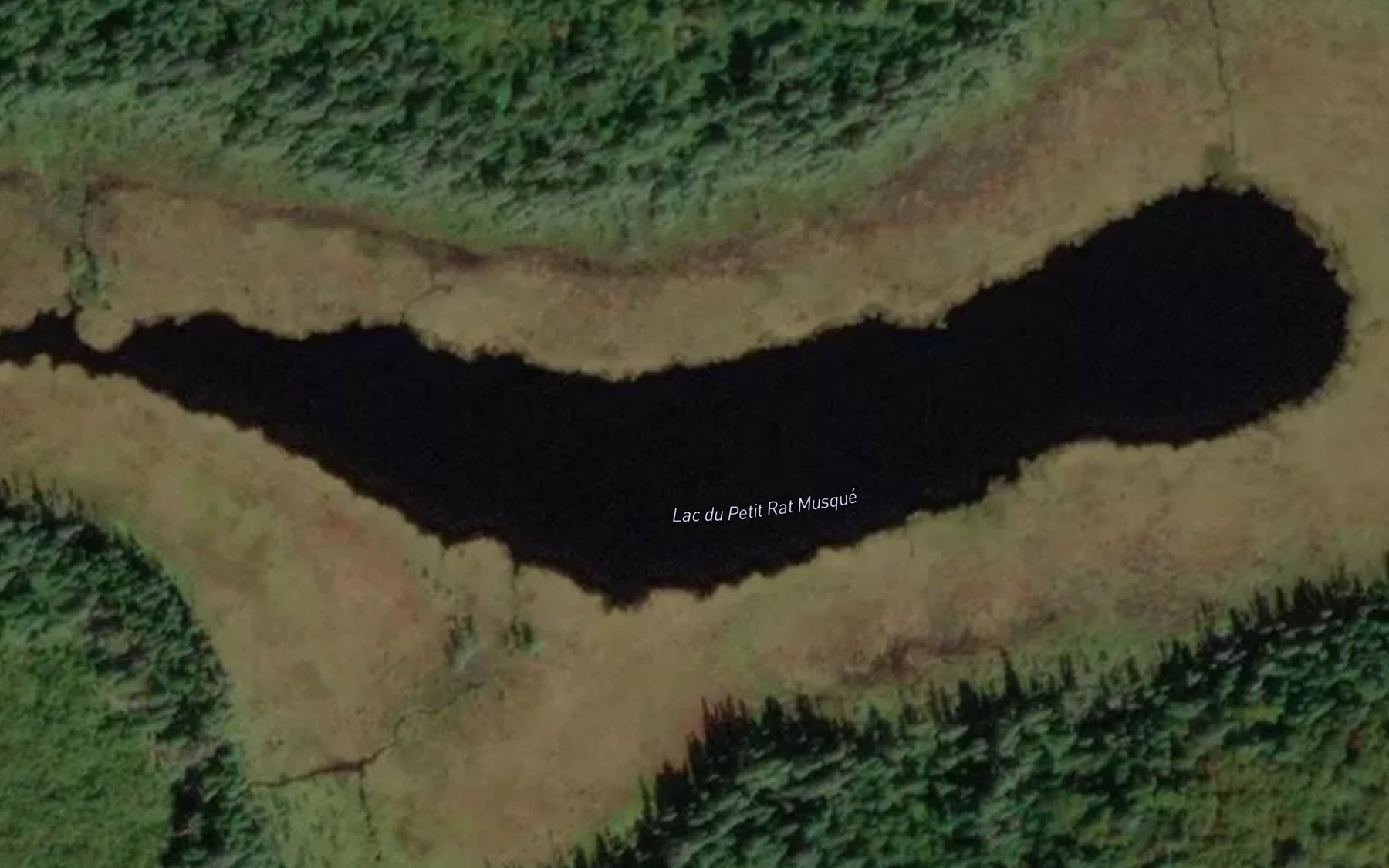 Satellite map of the Lac du Petit Rat Musque
