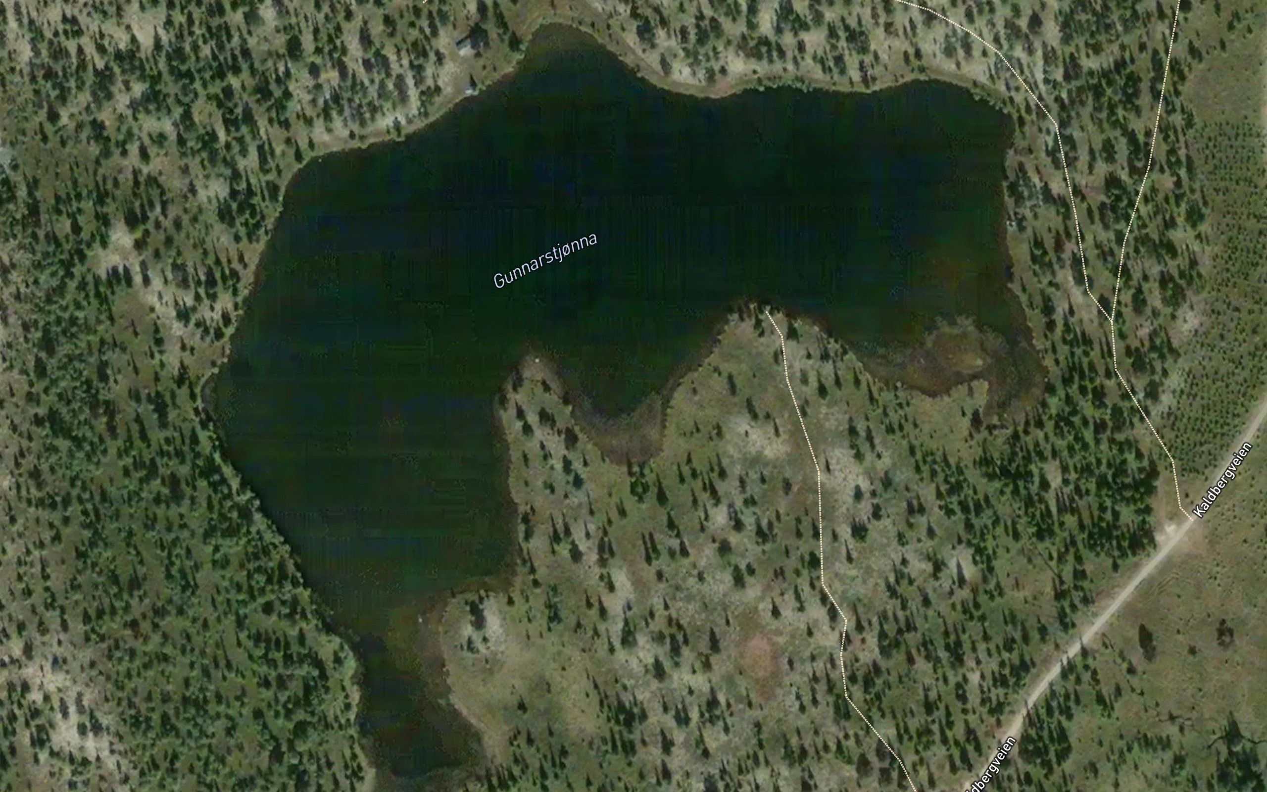 Gunnerstjorna
