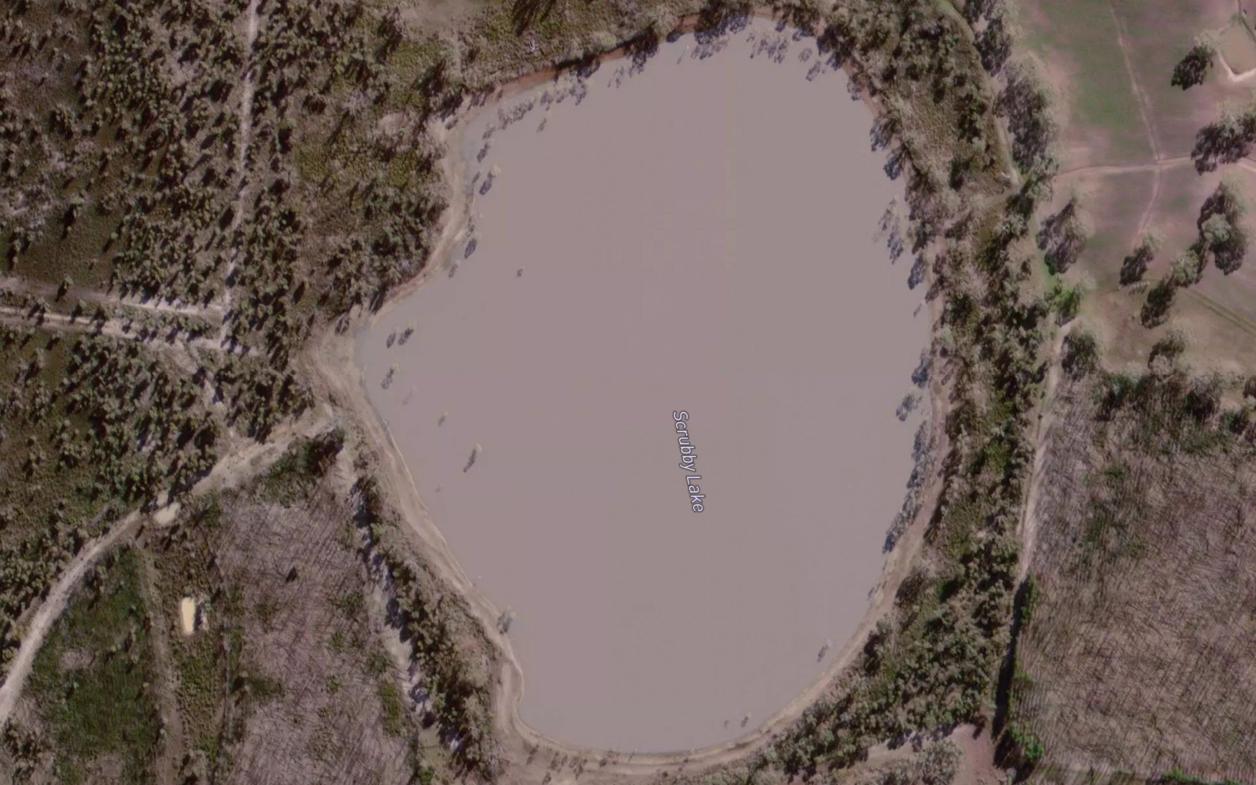 Scrubby Lake