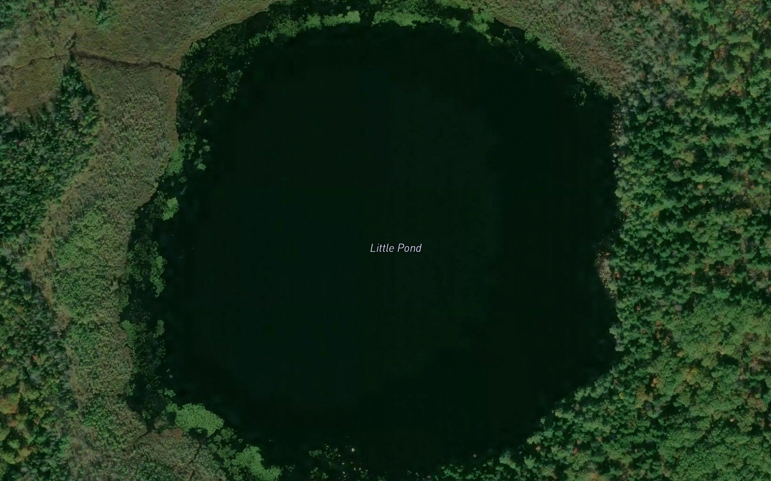 Little Pond