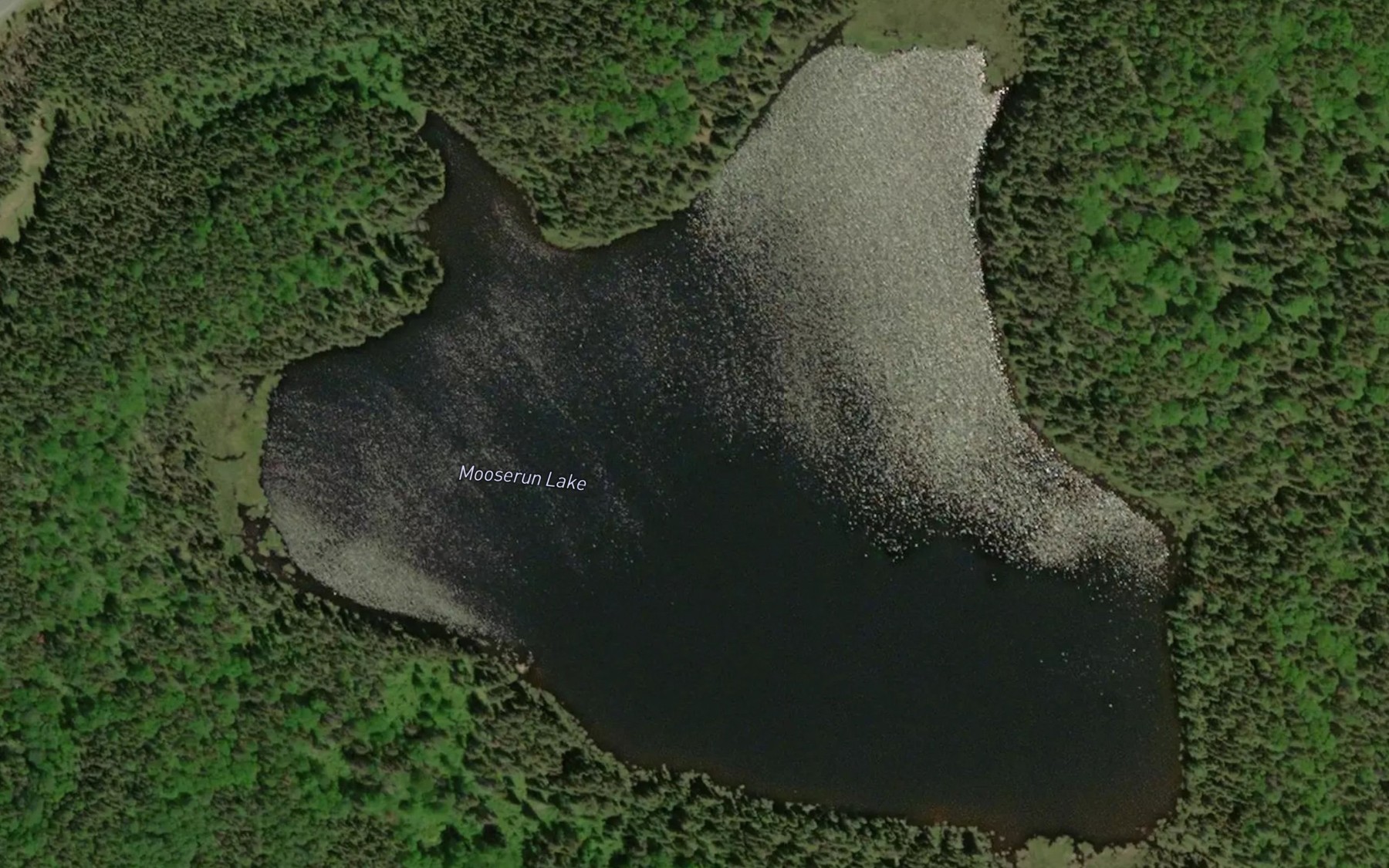 Satellite map of the Mooserun Lake