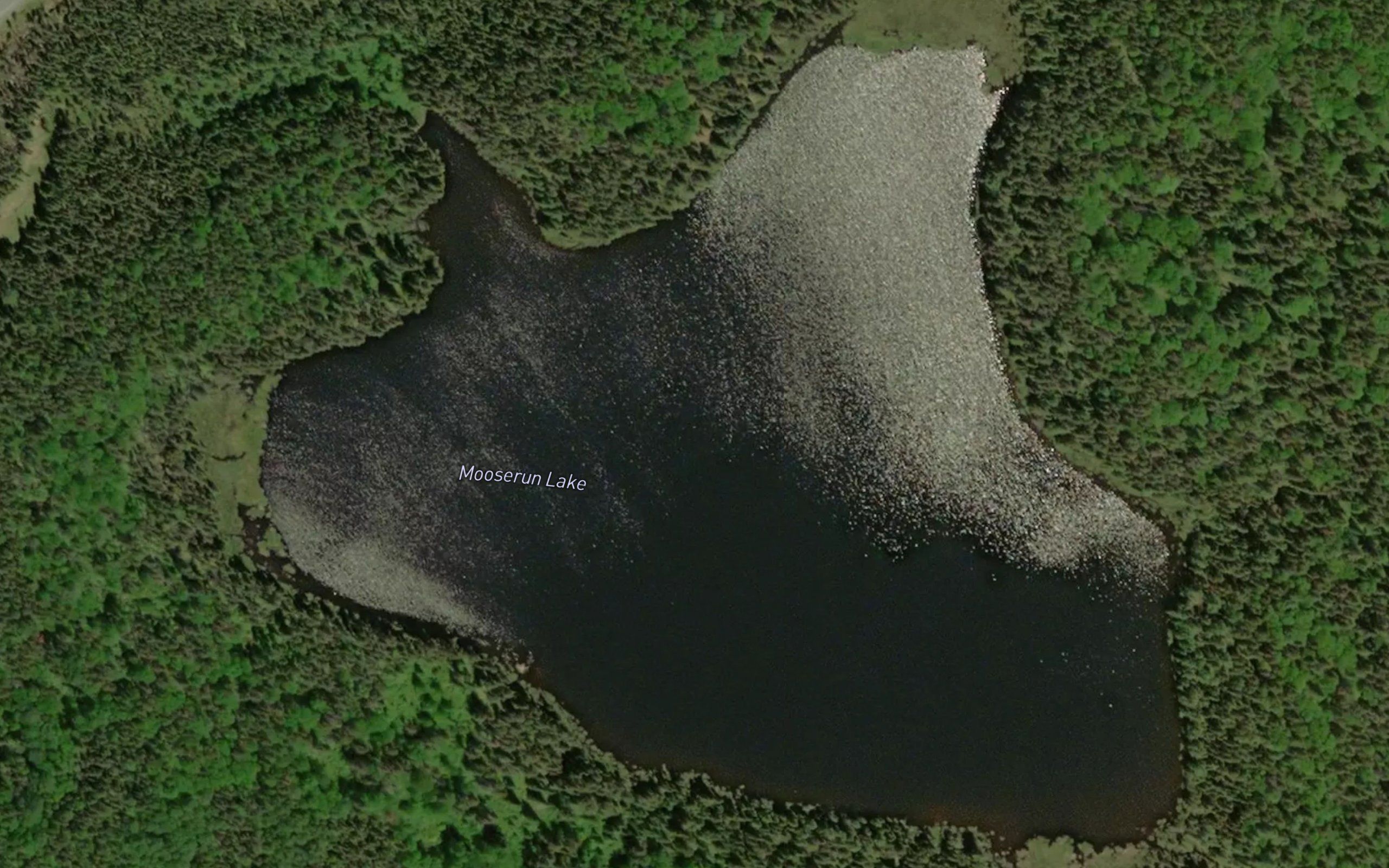 Mooserun Lake