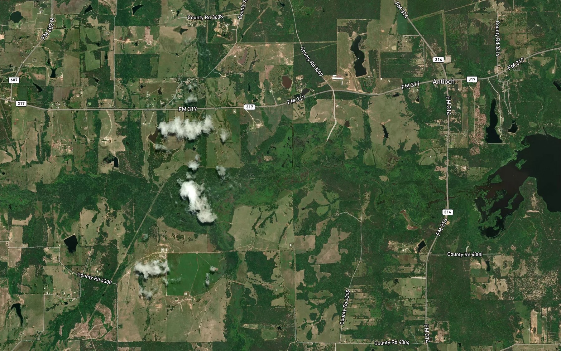 Satellite map of the Friendship Branch