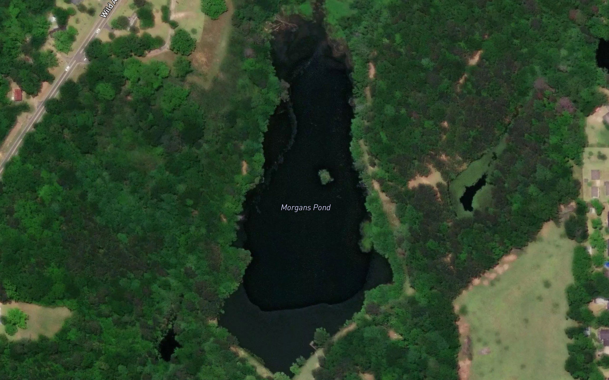 Morgans Pond