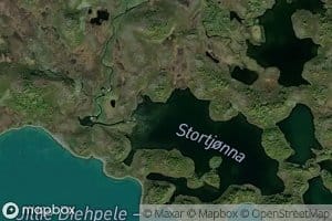 Stortjorna