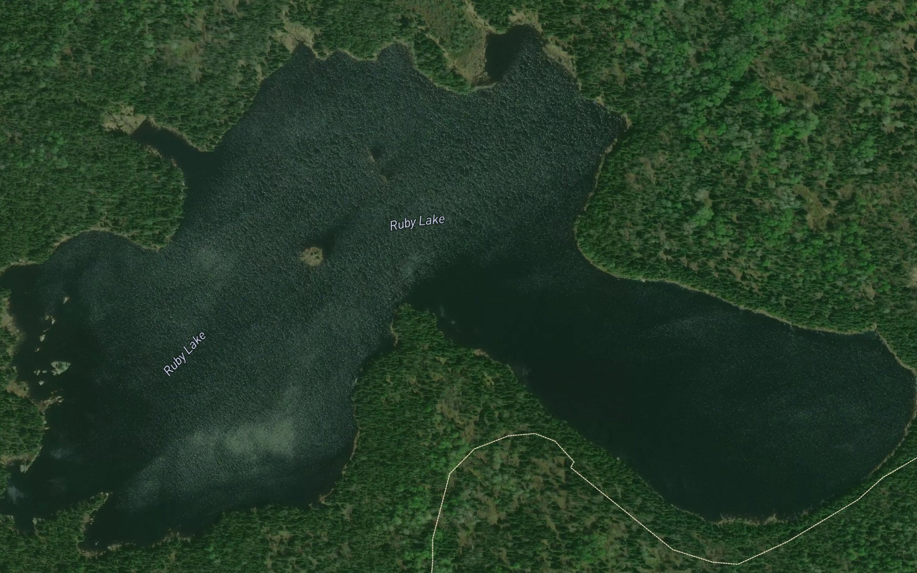 Satellite map of the Ruby Lake