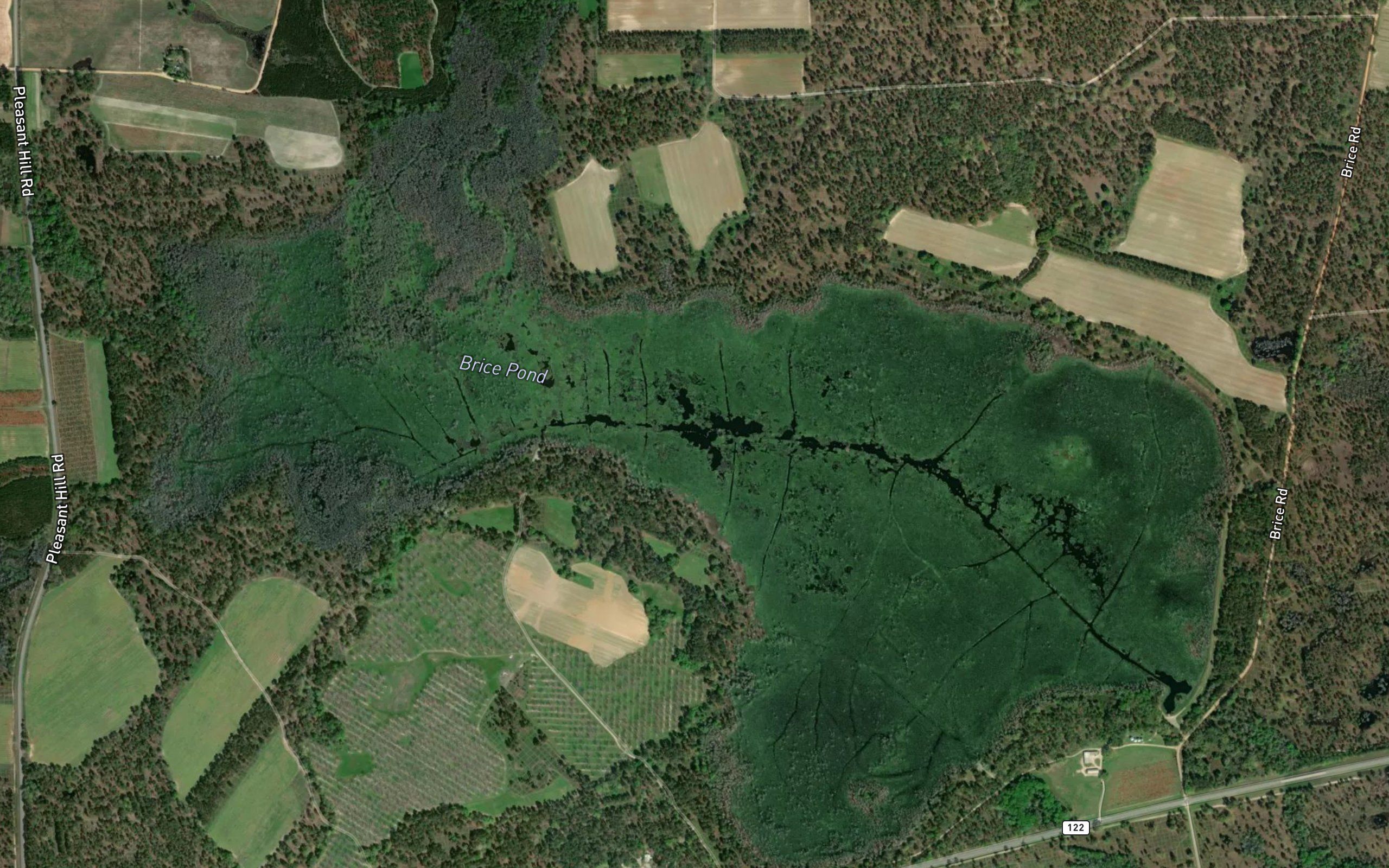 Brice Pond