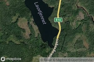 Lauvtjennet