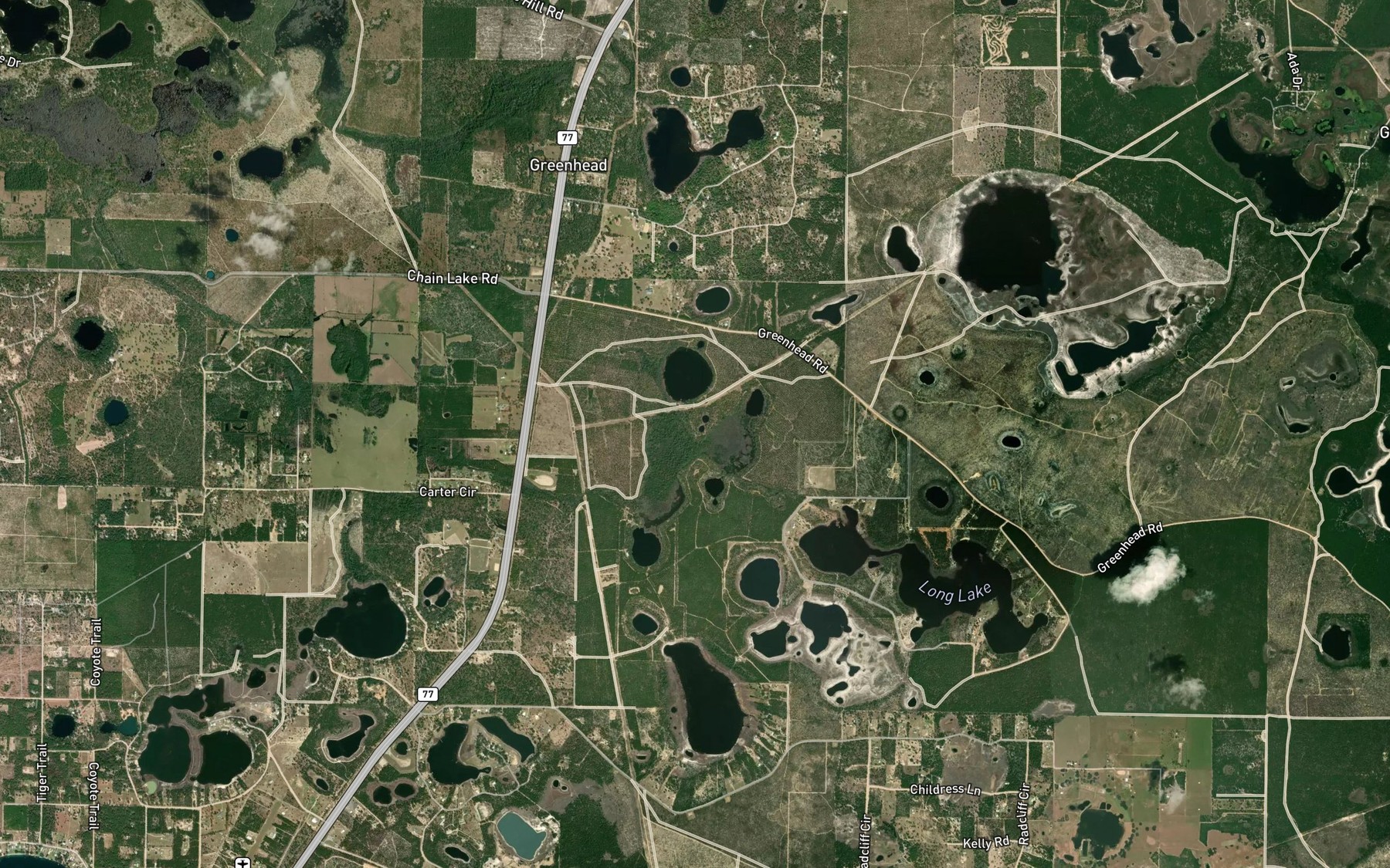Satellite map of the Bird Lake