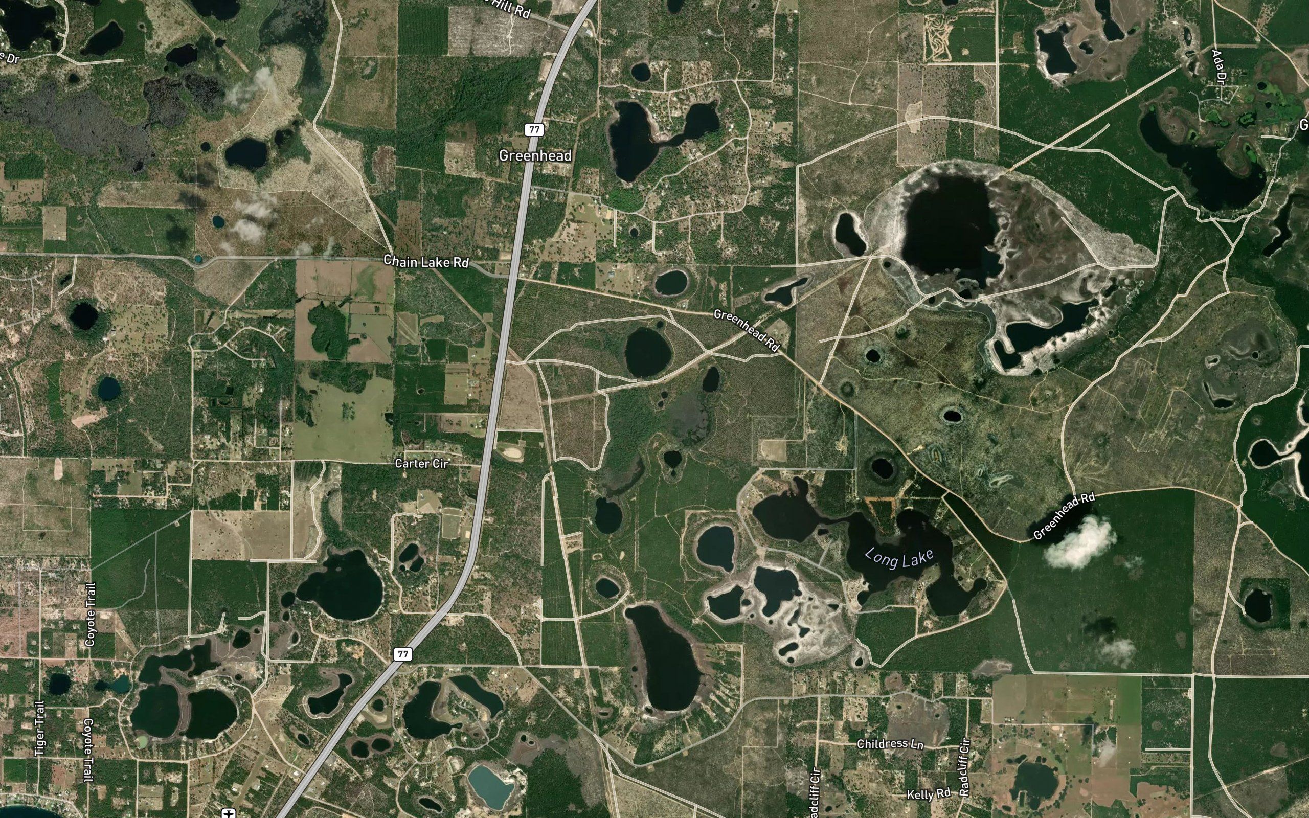 Bird Lake