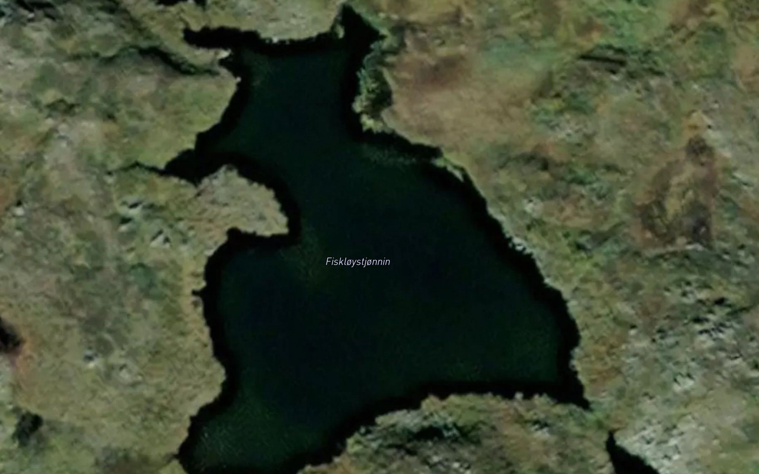 Fiskeloystjornin