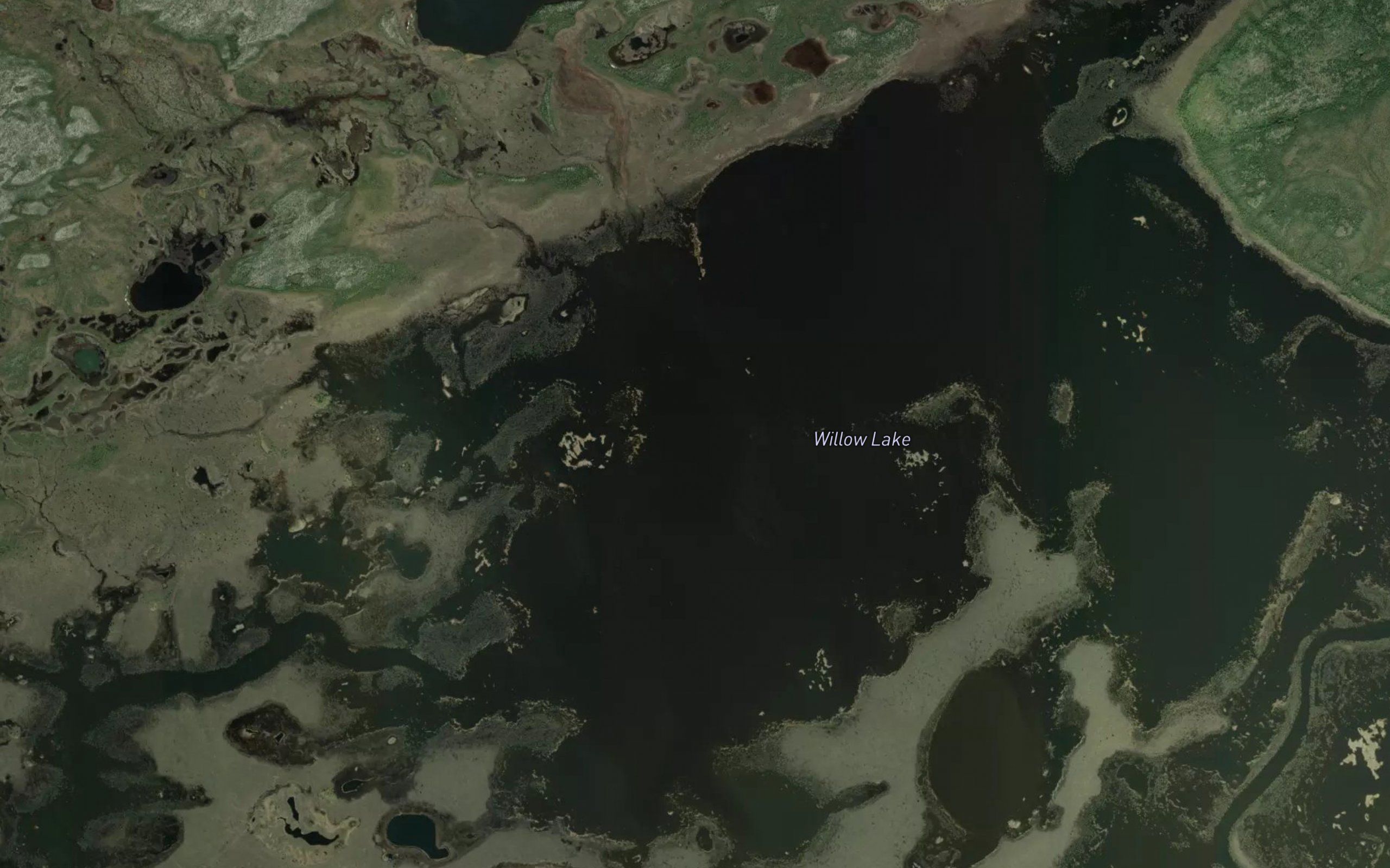 Willow Lake