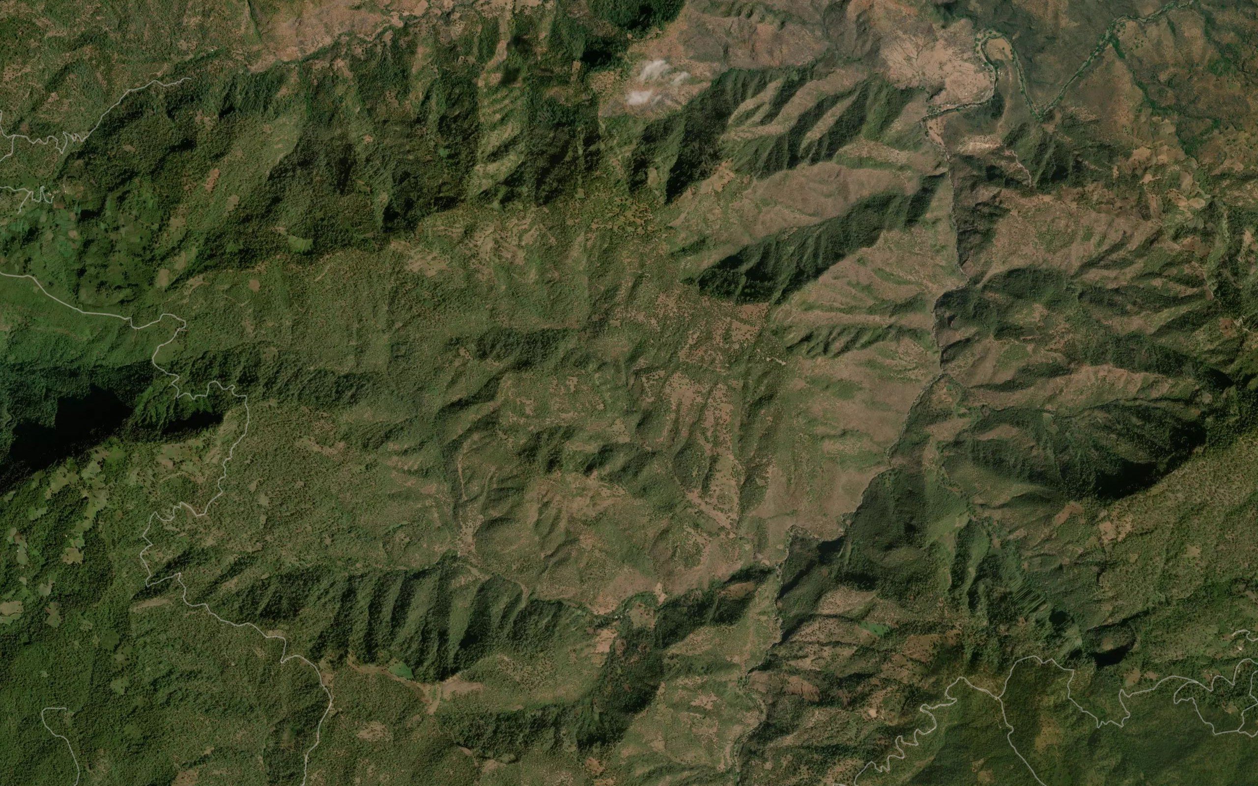 Barranca Seca
