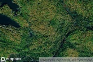 Crique du Lac d'Ours