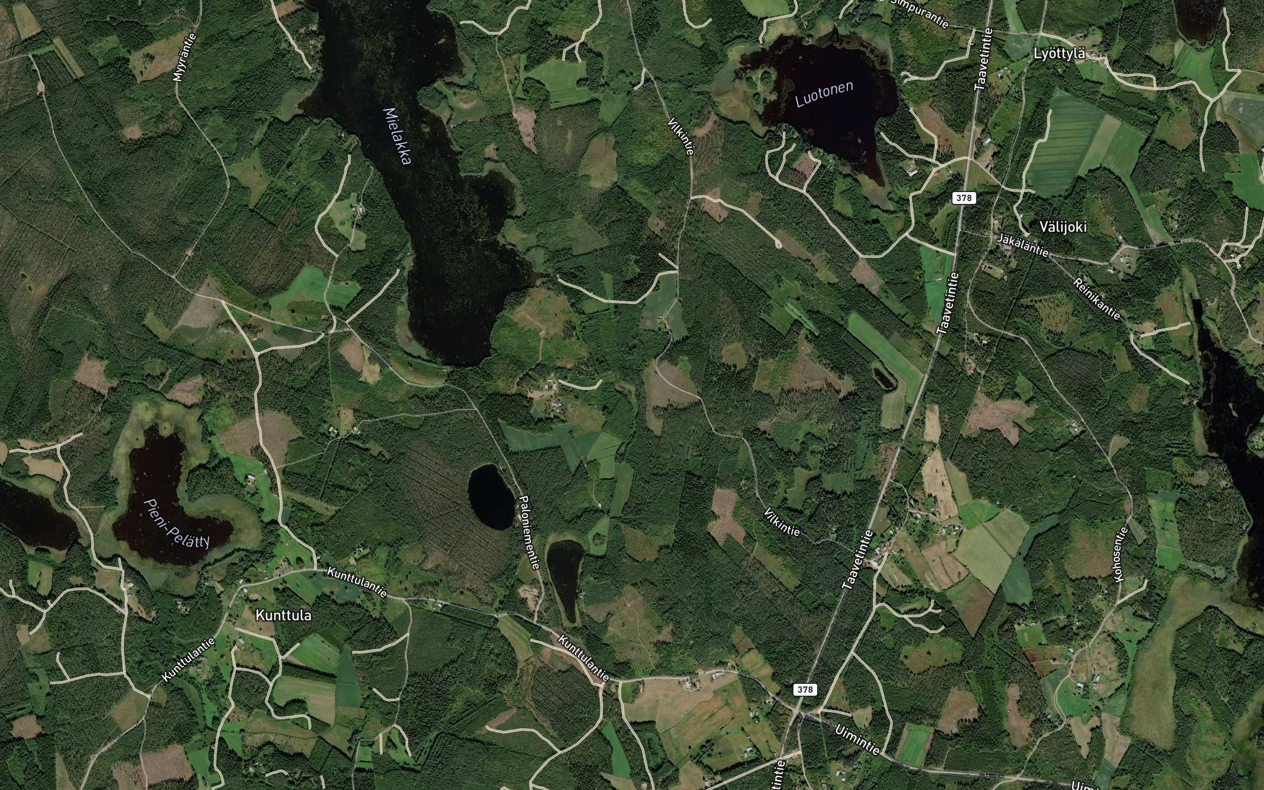 Haukilampi