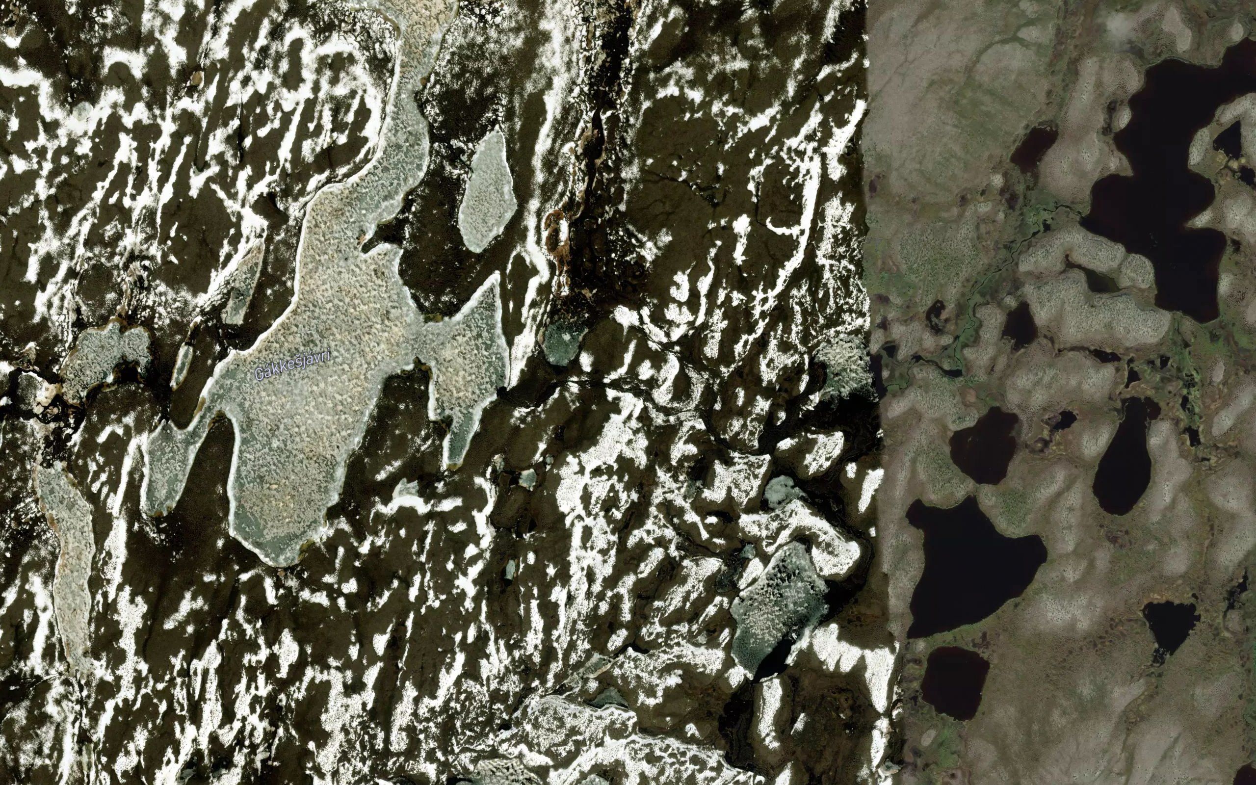 Gallutjakka