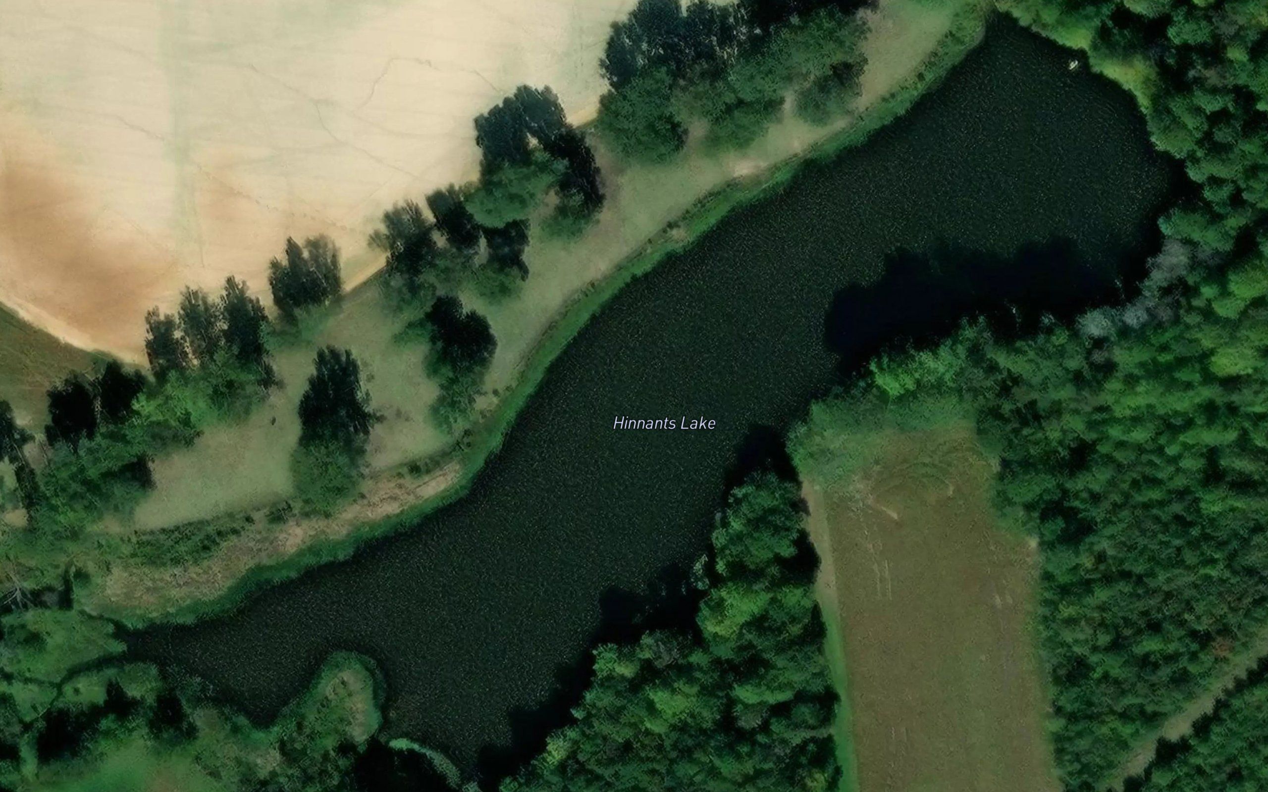 Hinnants Lake