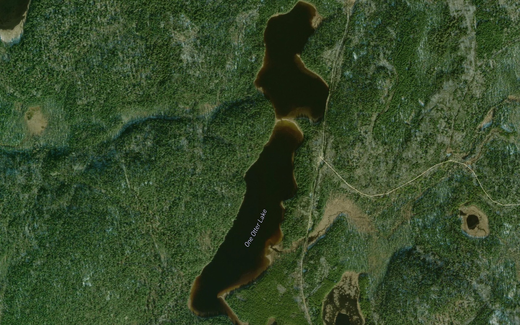 Satellite map of the One Otter Lake