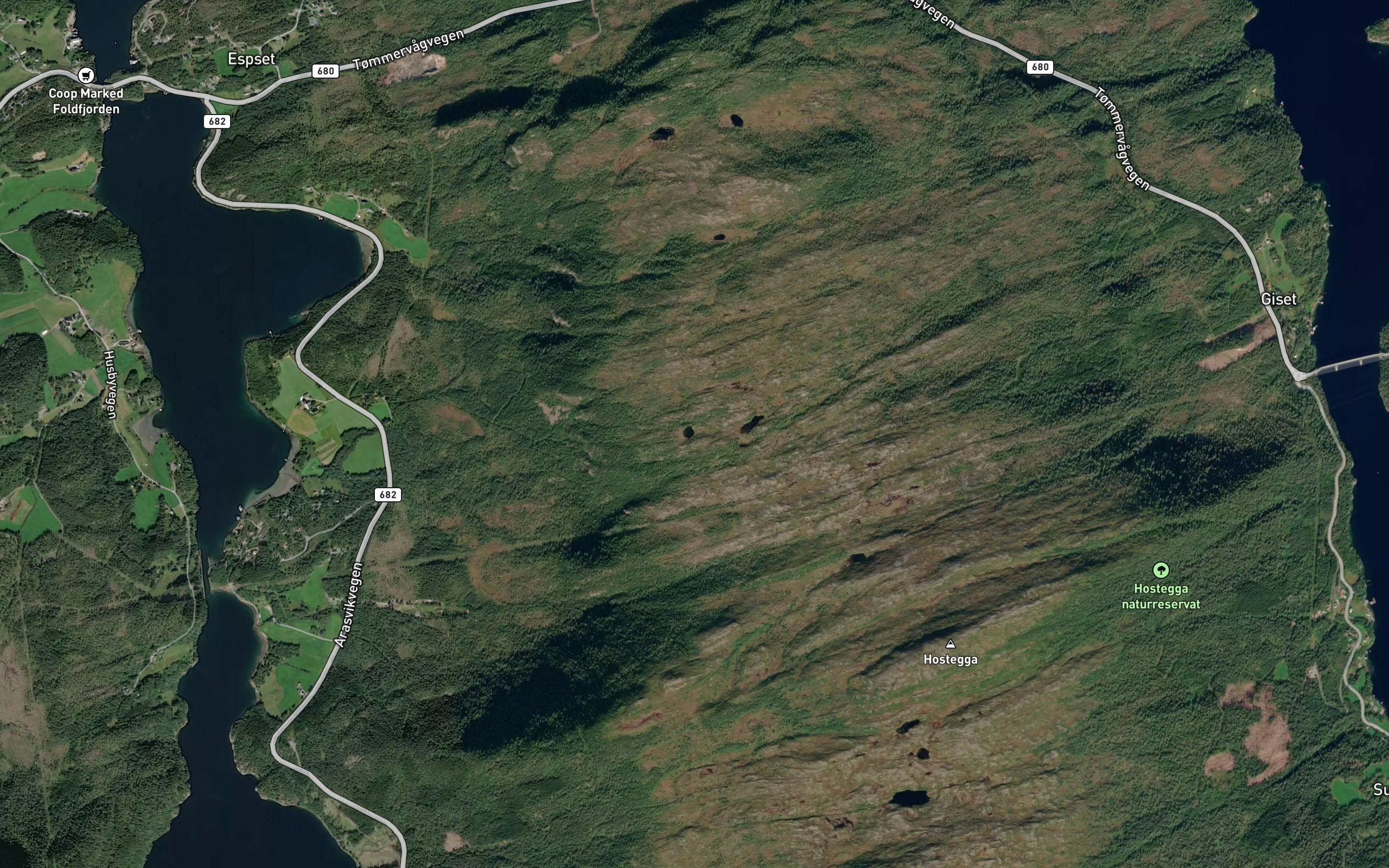 Stavnestjonnene