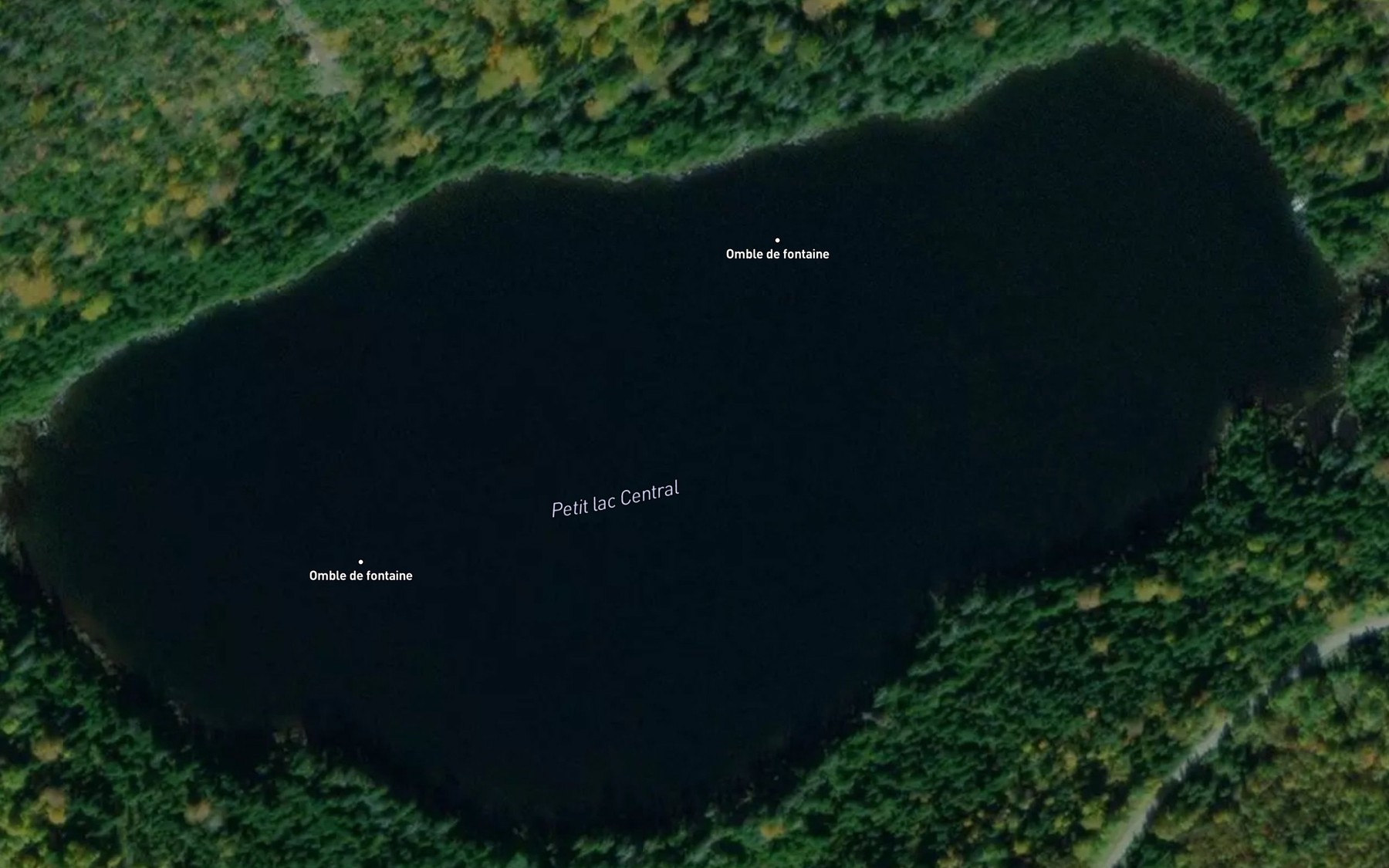Satellite map of the Petit lac Central